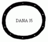 DANA35.gif