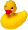 rubber ducky.jpg