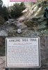 Hanging Tree Sign and Roll.jpg