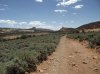 CapitolReefNPGrandStaircaseNMJune14-16, 2013 322 (1280x960) (2).jpg