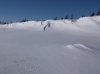 Deer River Drifts.jpg