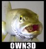 owned-fishy.jpg